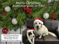Merry Christmas from all at TRC